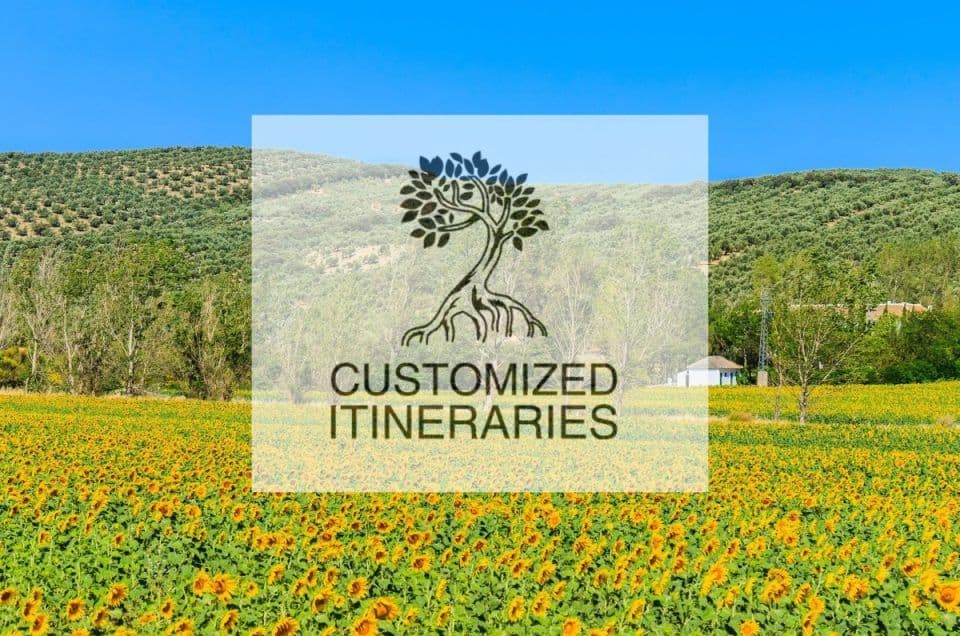 customized itineraries