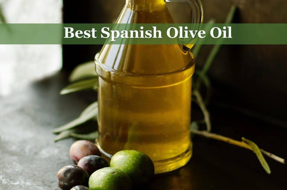 Best Spanish Olive Oil
