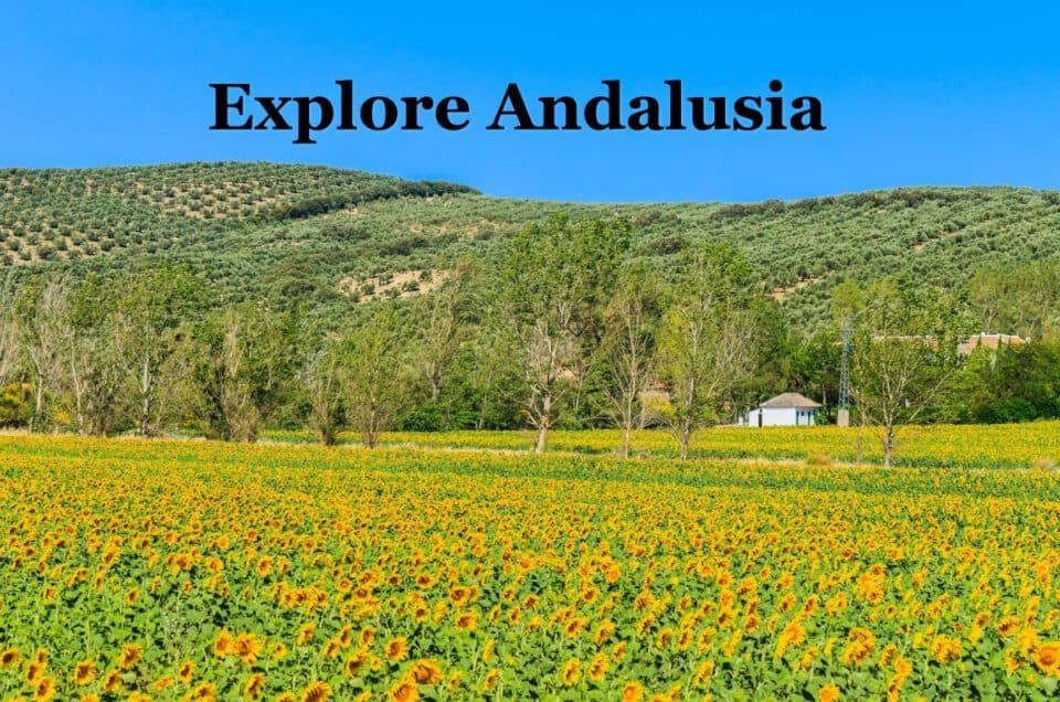Small group tours in Andalusia