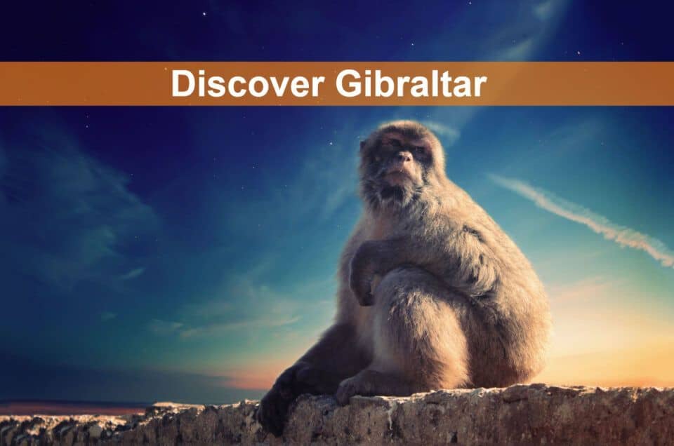 Discover Gibraltar with Costa Excursions