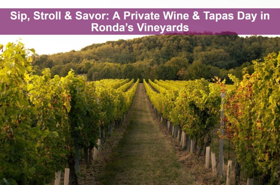 wine tour ronda