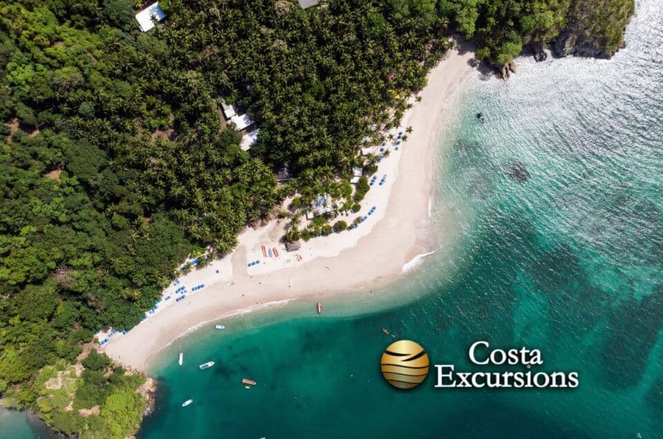 Beach and forest in Costa del Sol, Malaga.