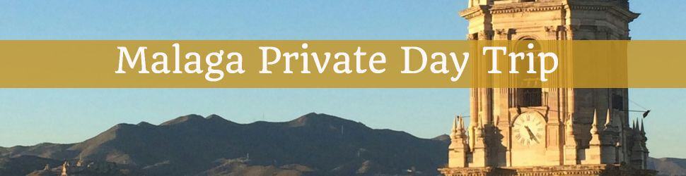 Malaga private city tour
