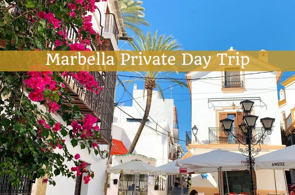 Private Marbella tour with vibrant streets and palm trees in winter.