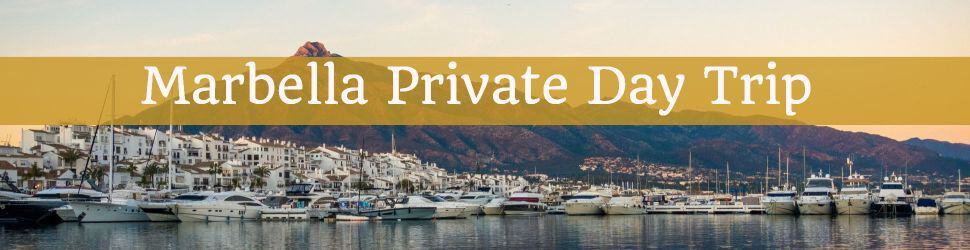 Scenic view of Marbella marina with boats and waterfront, perfect for private day trips.