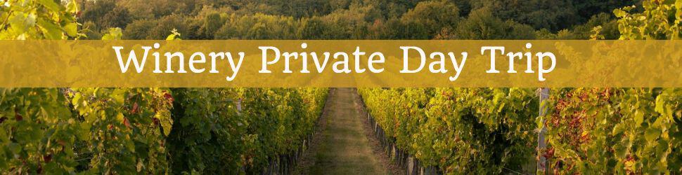 Private winery tour in Malaga with tasting experience.
