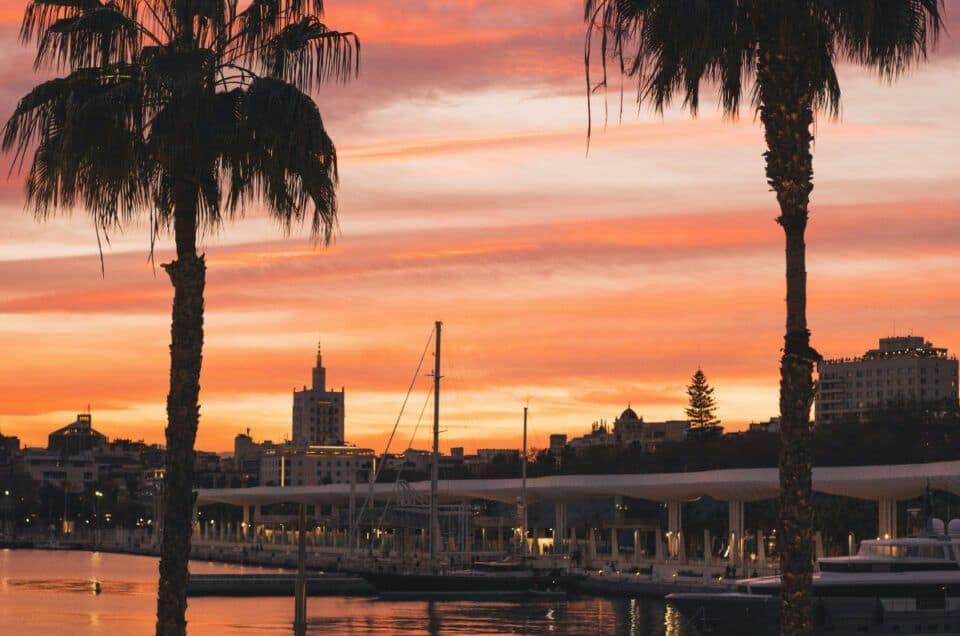 Malaga harbor at sunset with palm trees and boats, perfect for customized historical tours from Mala.