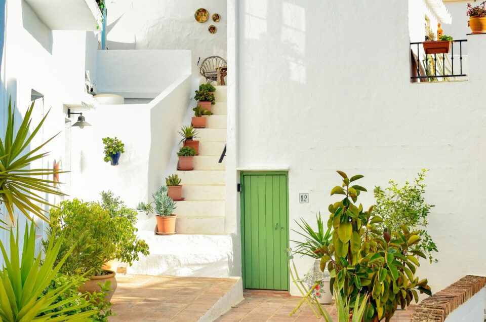 White house with green door and potted plants on stairs.